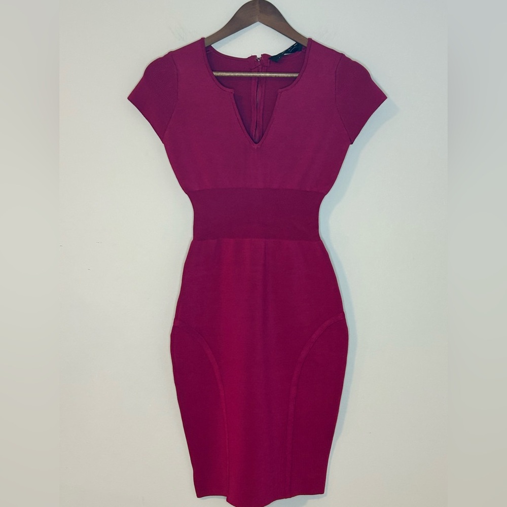 MLV by Mayren Lee Viray Burgundy Bodycon Knit Dress - Size M